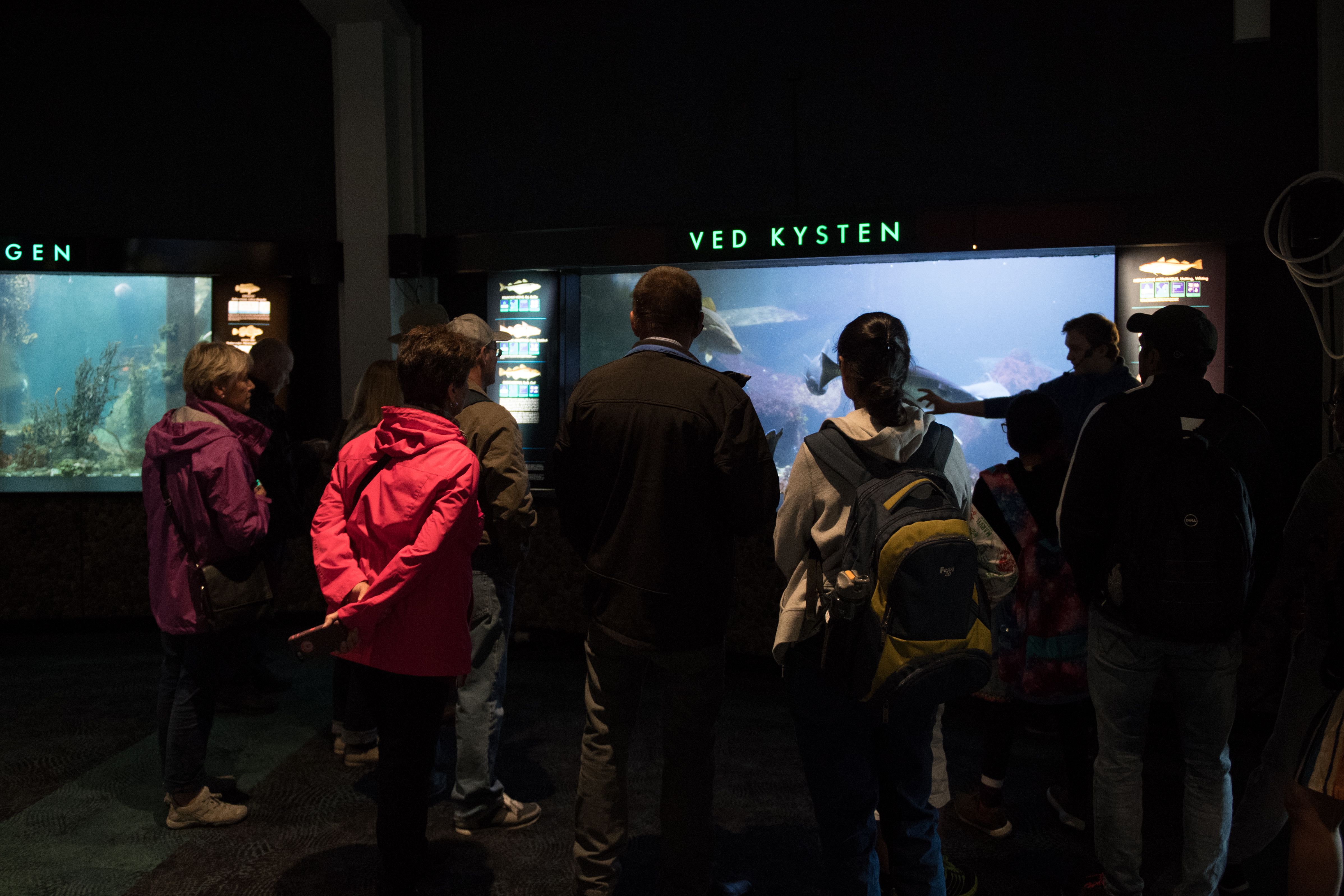 Bergen Aquarium