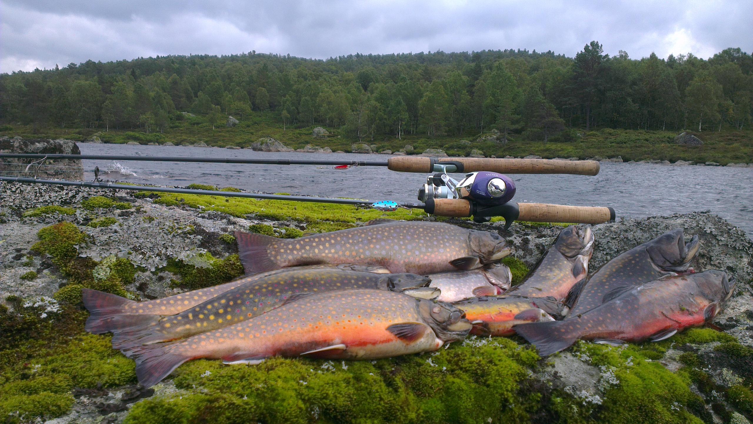 Activities at Heddan Gjestegard