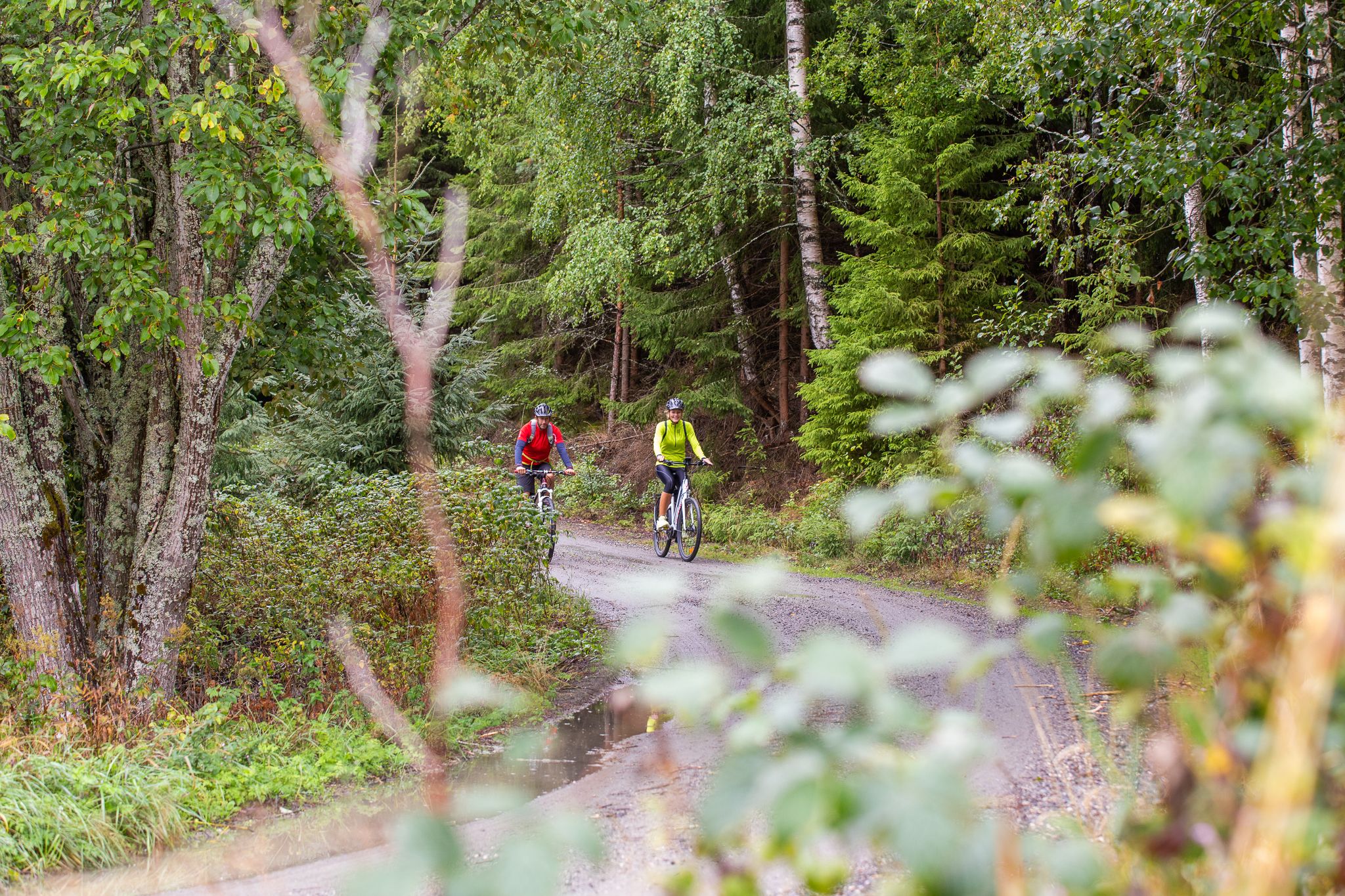 A couple going by bike in the forrest