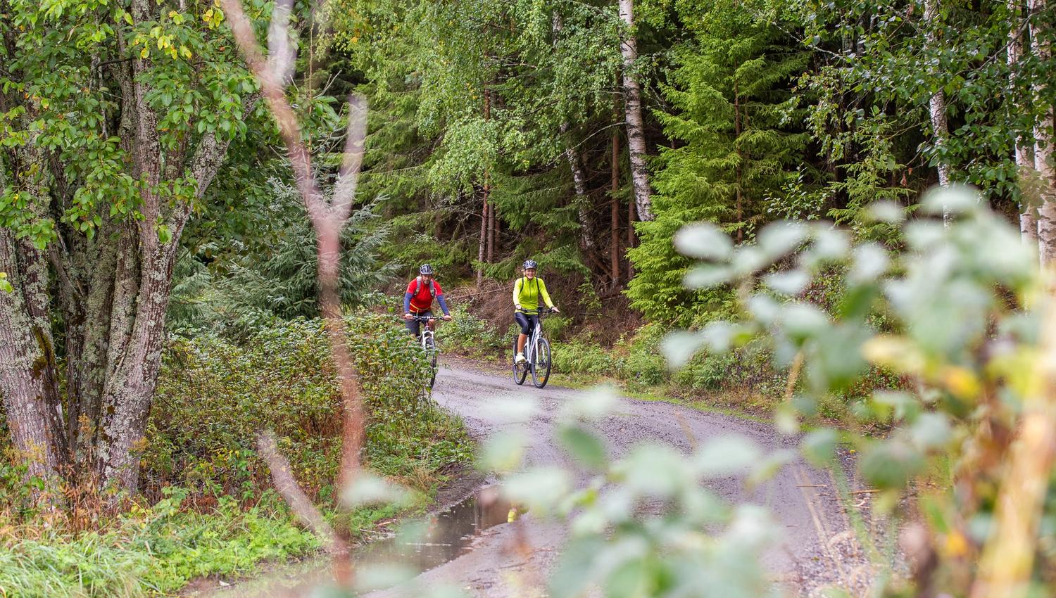 A couple going by bike in the forrest