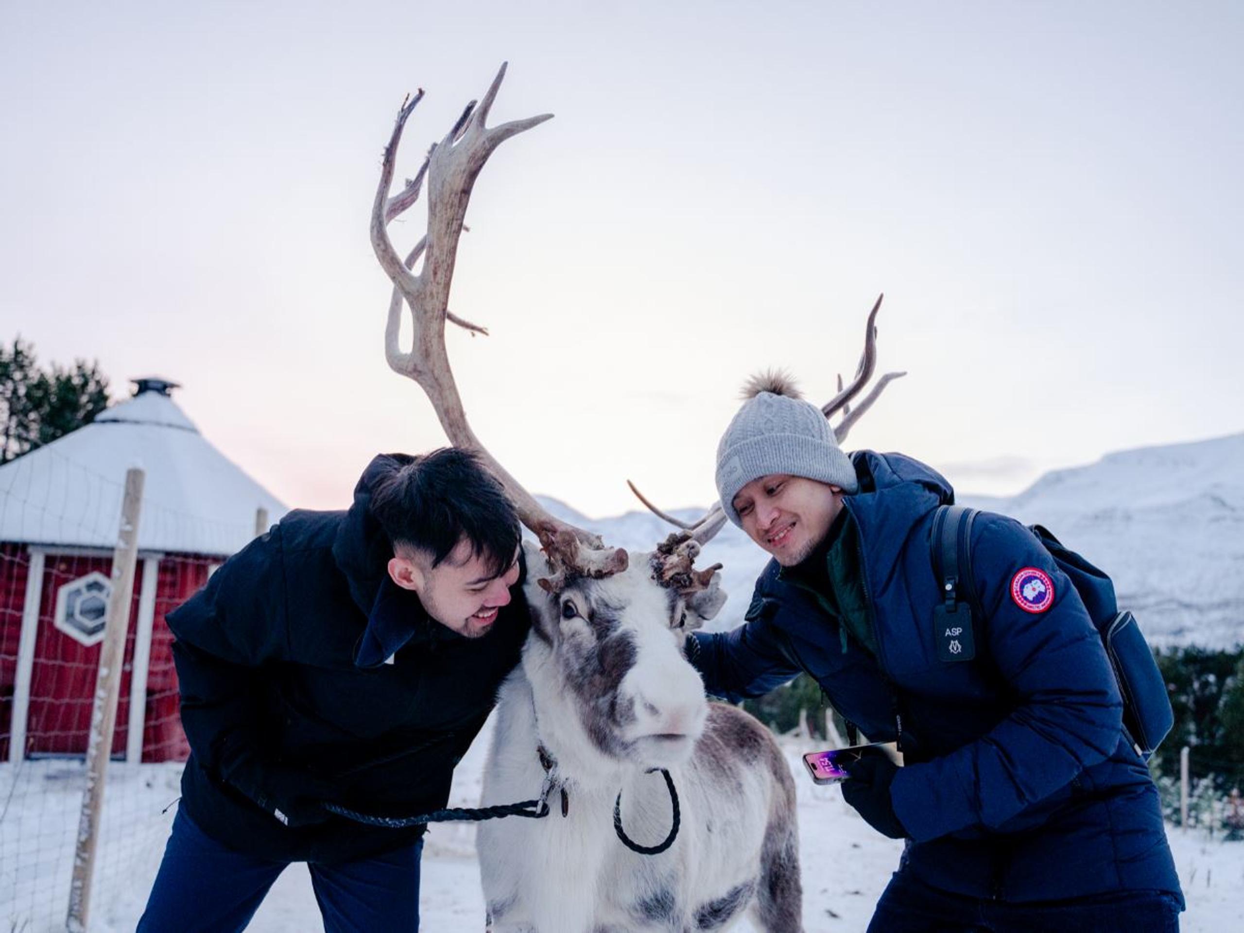 Reindeer Encounter & Sámi Culture Experience - The Samiway