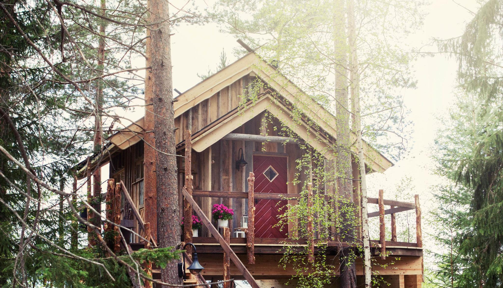 Tree top cabins in Brumunddal