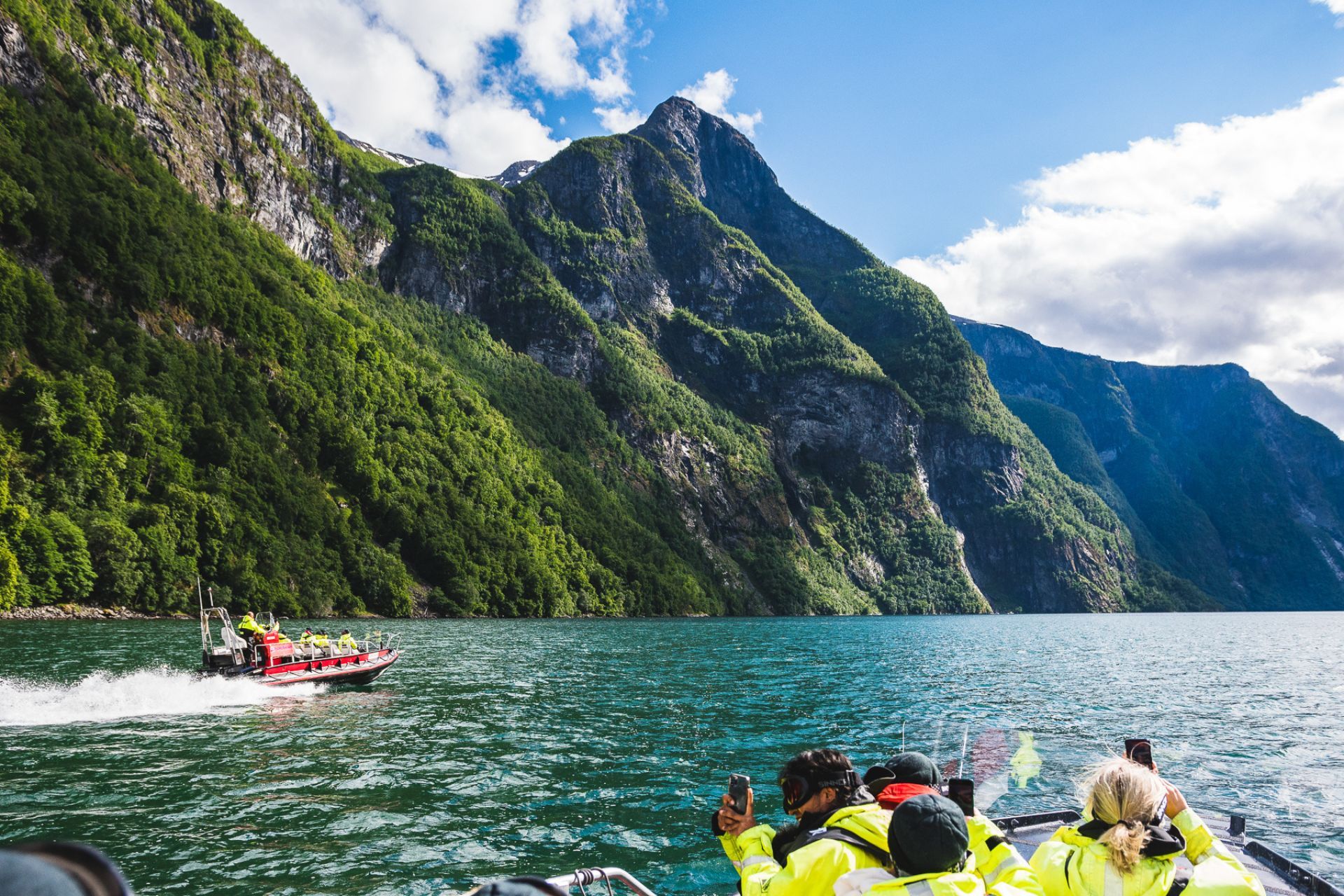 FjordSafari