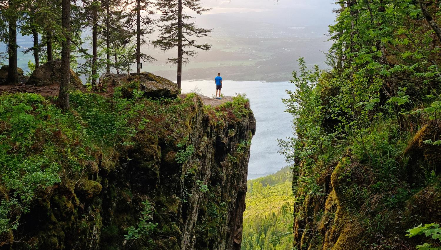 Tur til Mørkgonga, Krokskogen på Ringerike