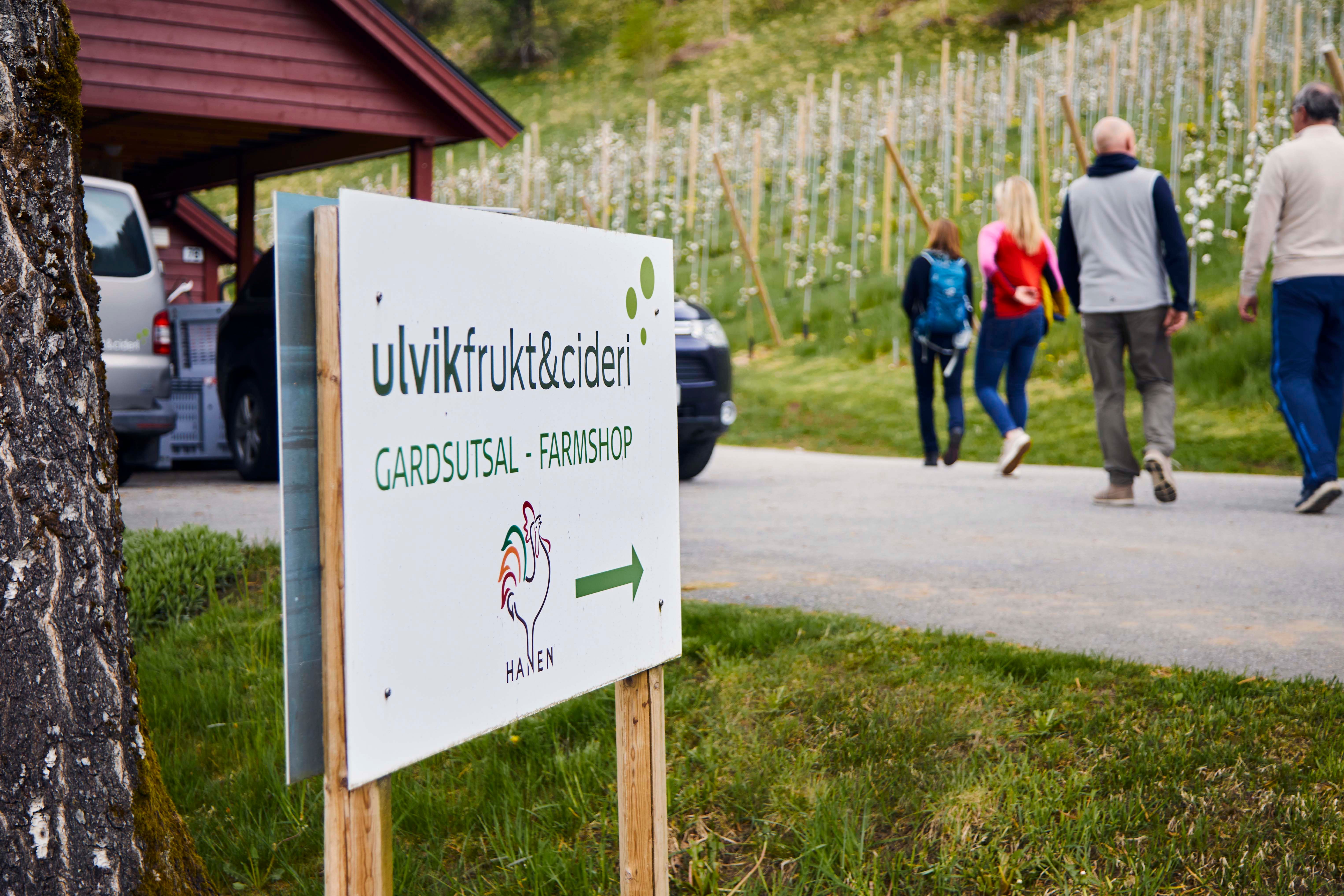 Schild zum Hofladen von Ulvik Frukt & Cideri, im Hintergrund gehen Touristen in die Obstplantage.