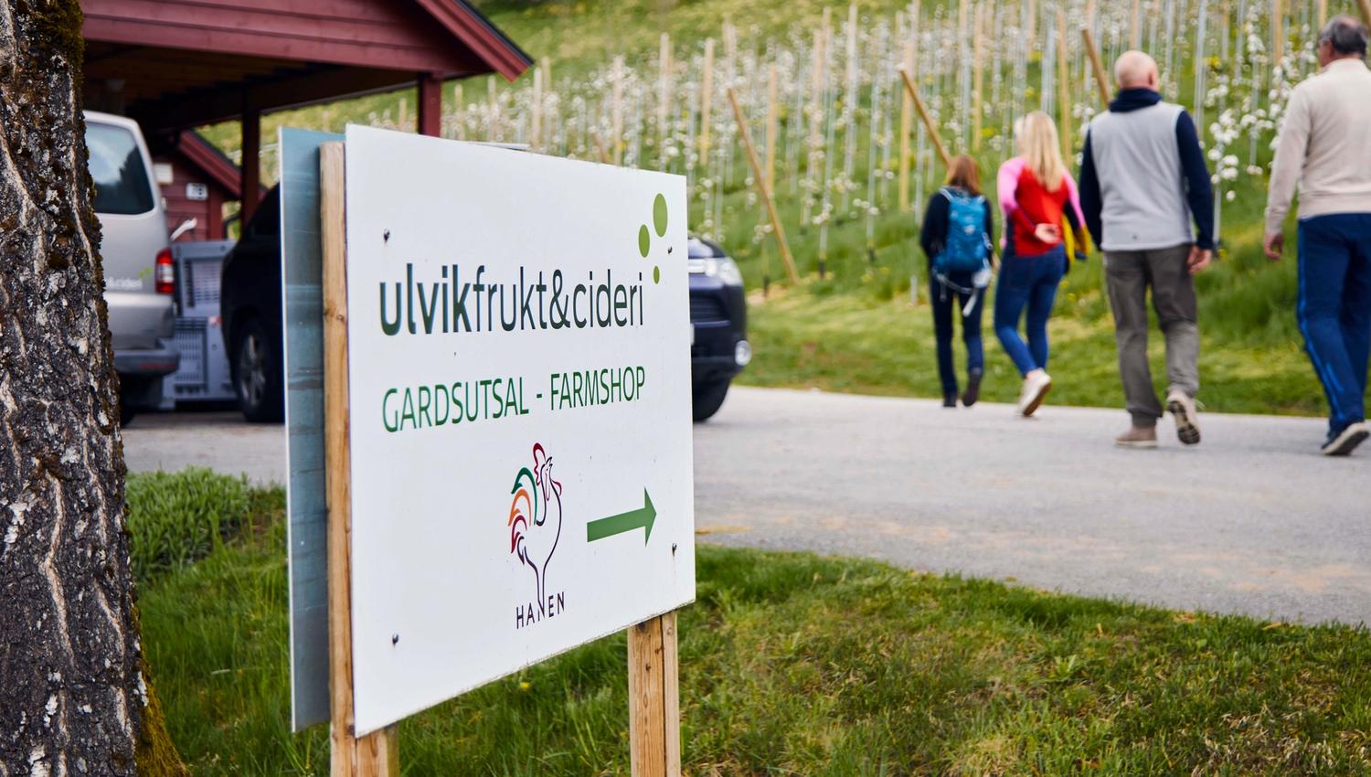 Wegweiser zum Hofladen von Ulvik Frukt & Cideri, während Besucher in die Obstplantage spazieren.