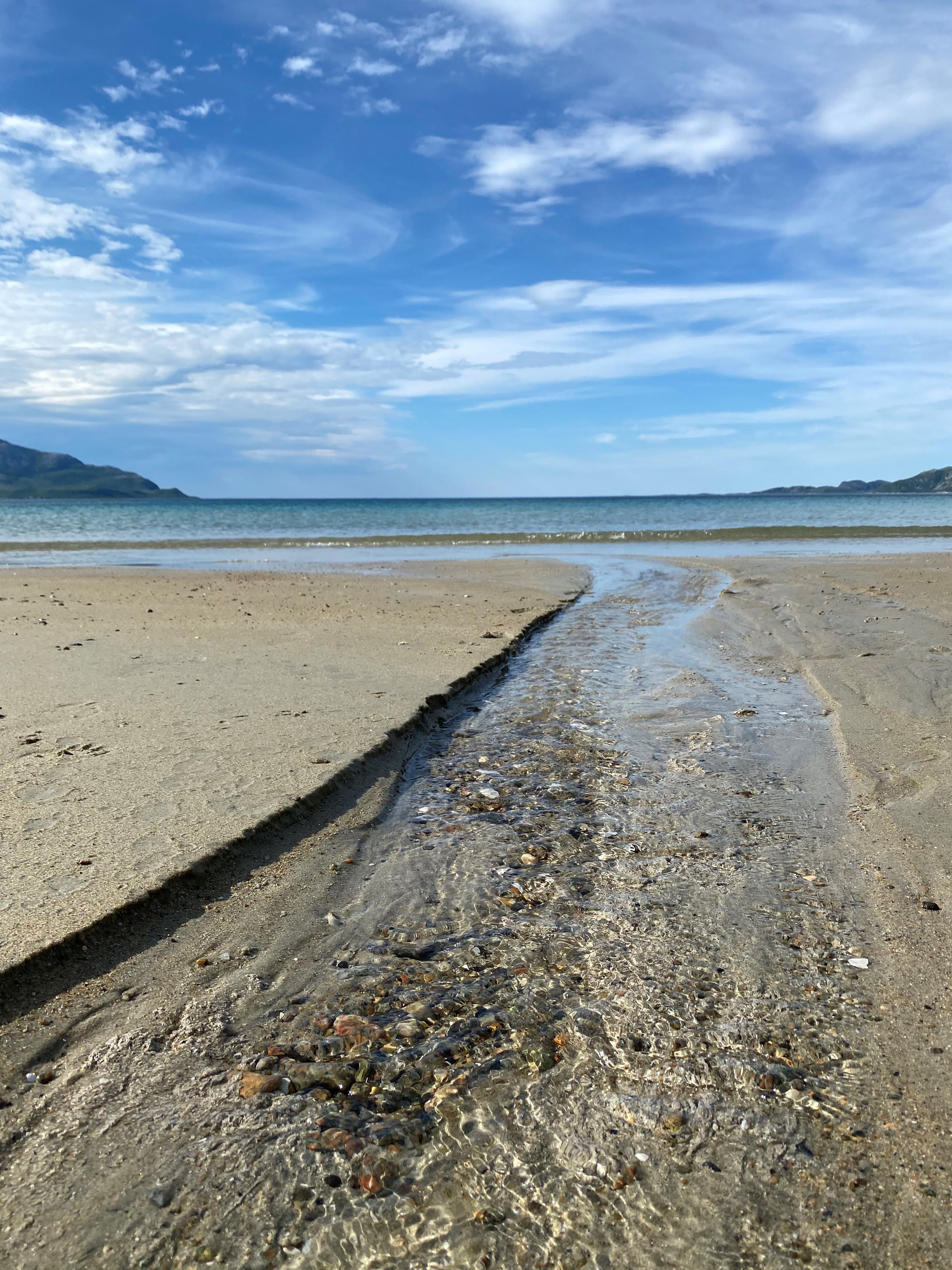 Close up picture of the beach