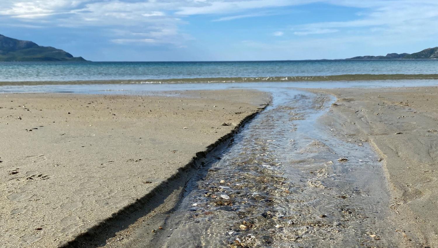 Close up picture of the beach