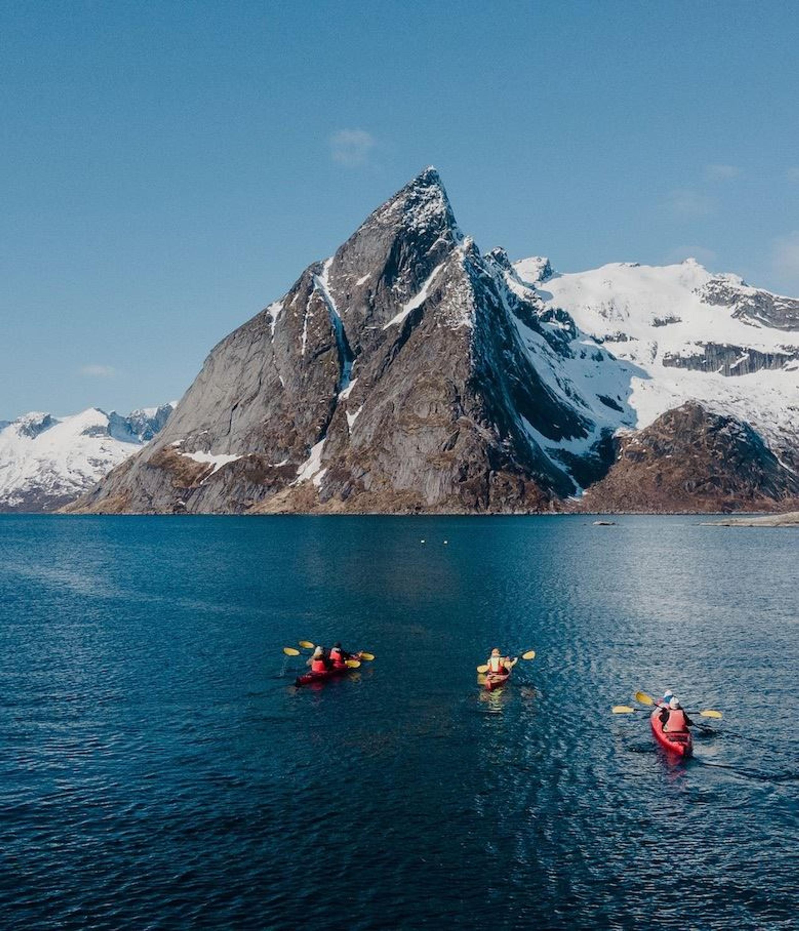 Explore Reinefjord by kayak (3h)