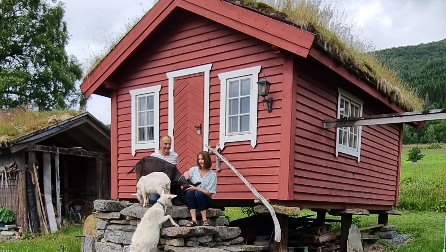 Bo tett på dyra på Brudevoll gard