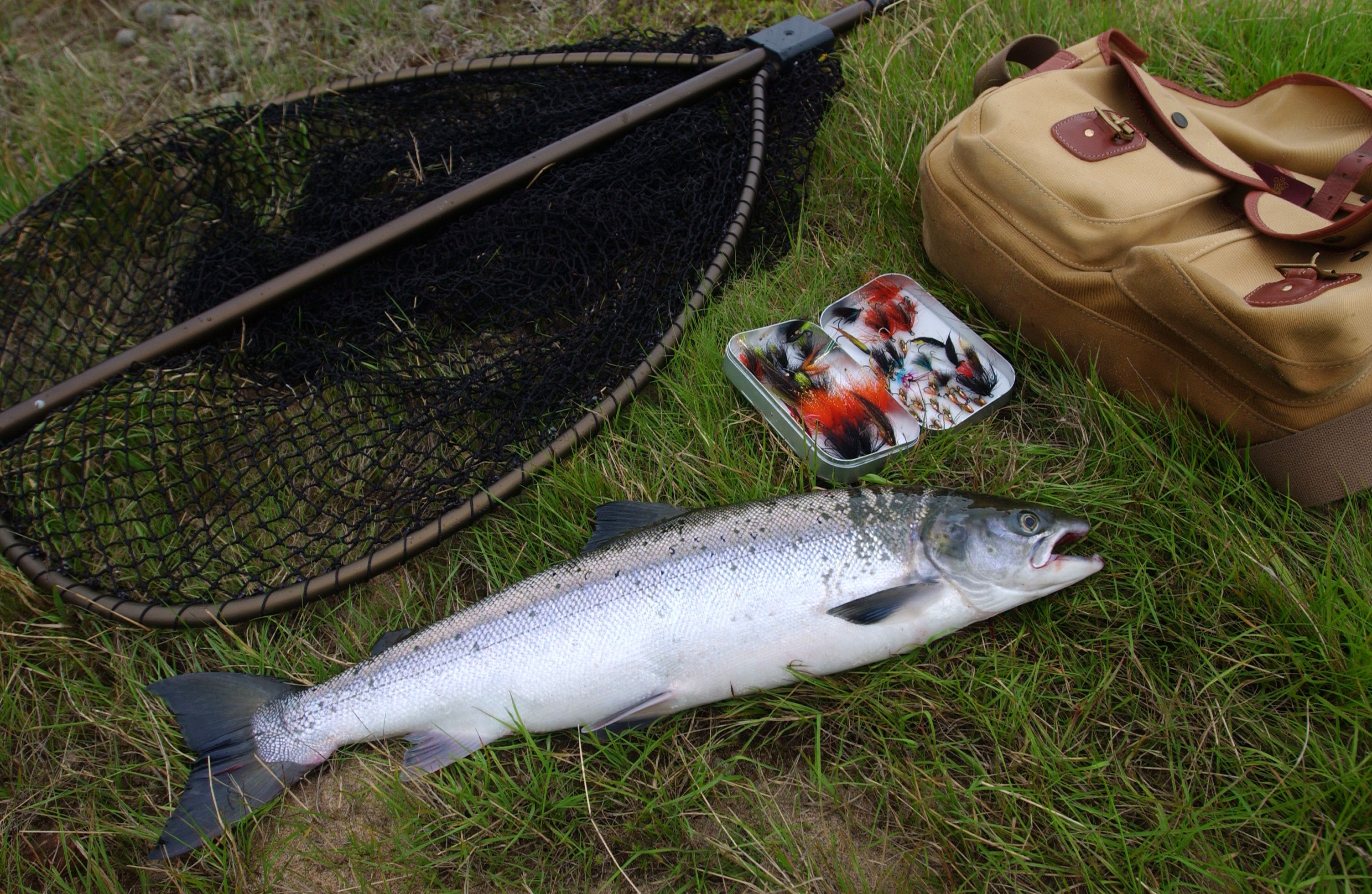 Fiske i Kristiansandsregionen
