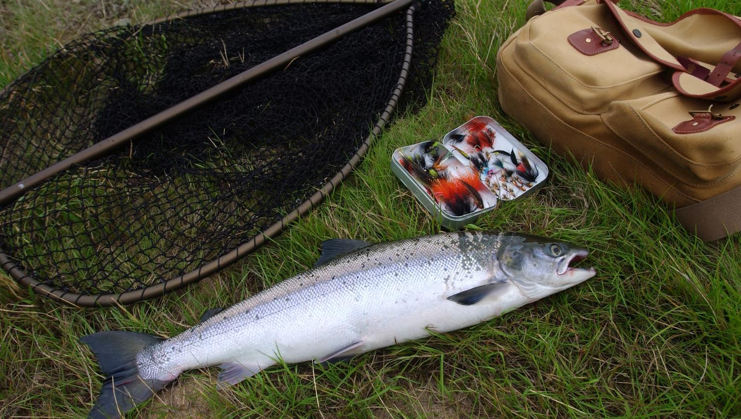 Fiske i Kristiansandsregionen