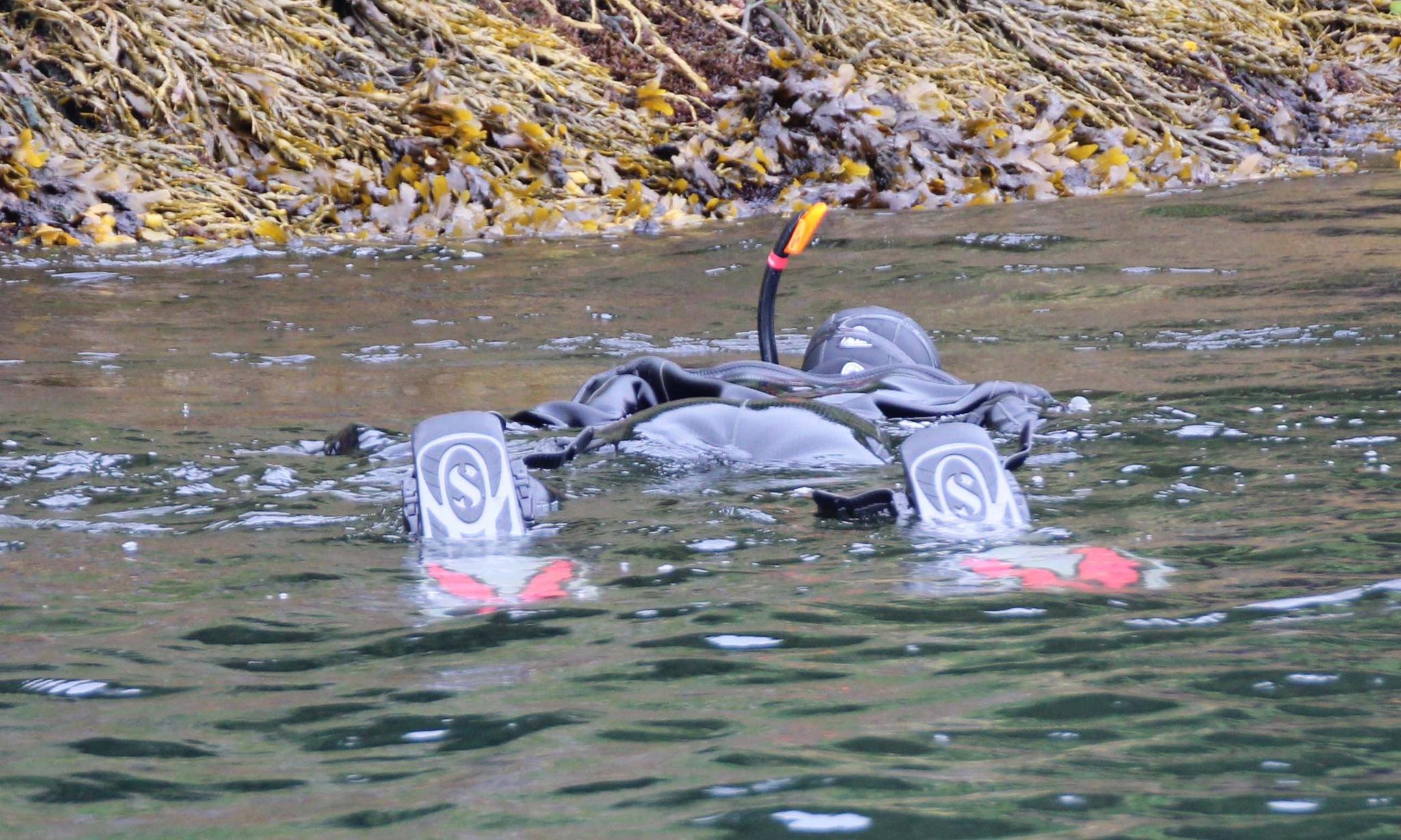 Snorkeling in Saltstraumen