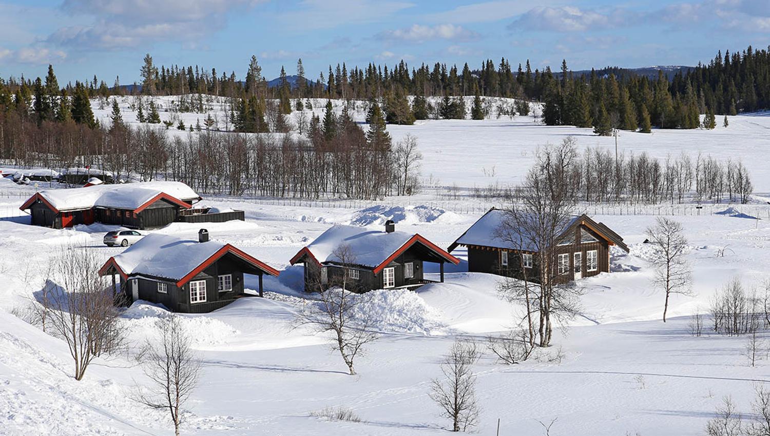 Gamlestølen cabins