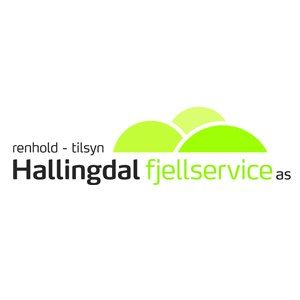 Hallingdal fjellservice