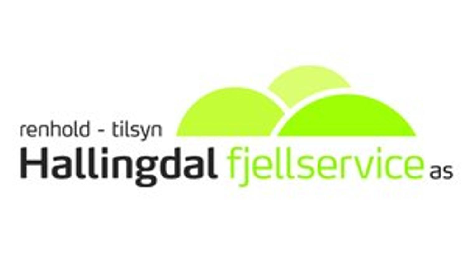 Hallingdal fjellservice