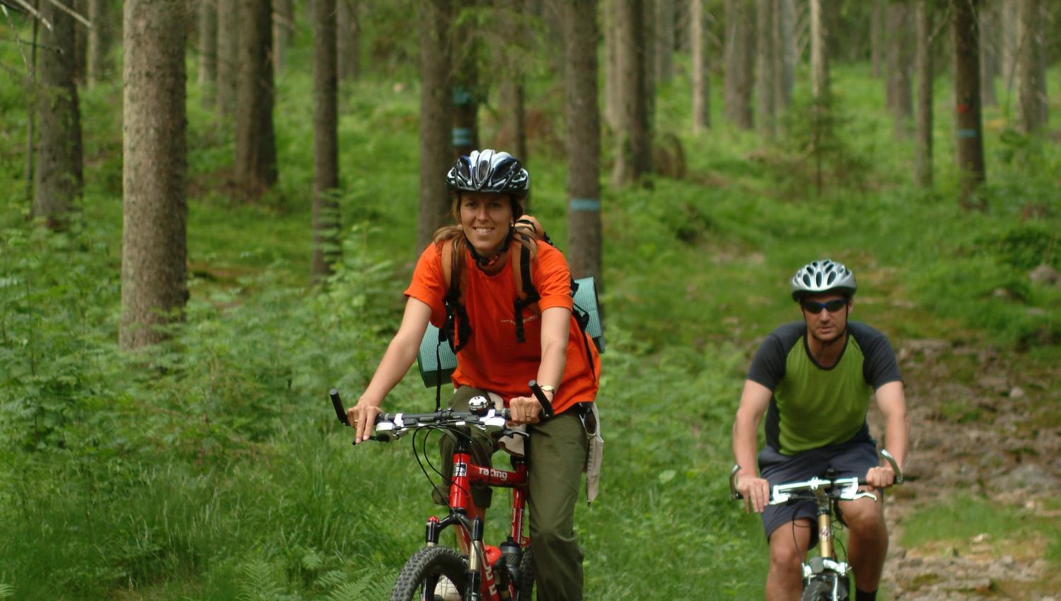 two cyclists on a mountain bike in the forest