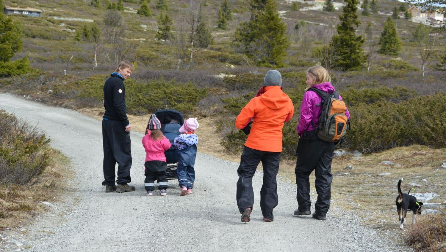 Flaksjøen