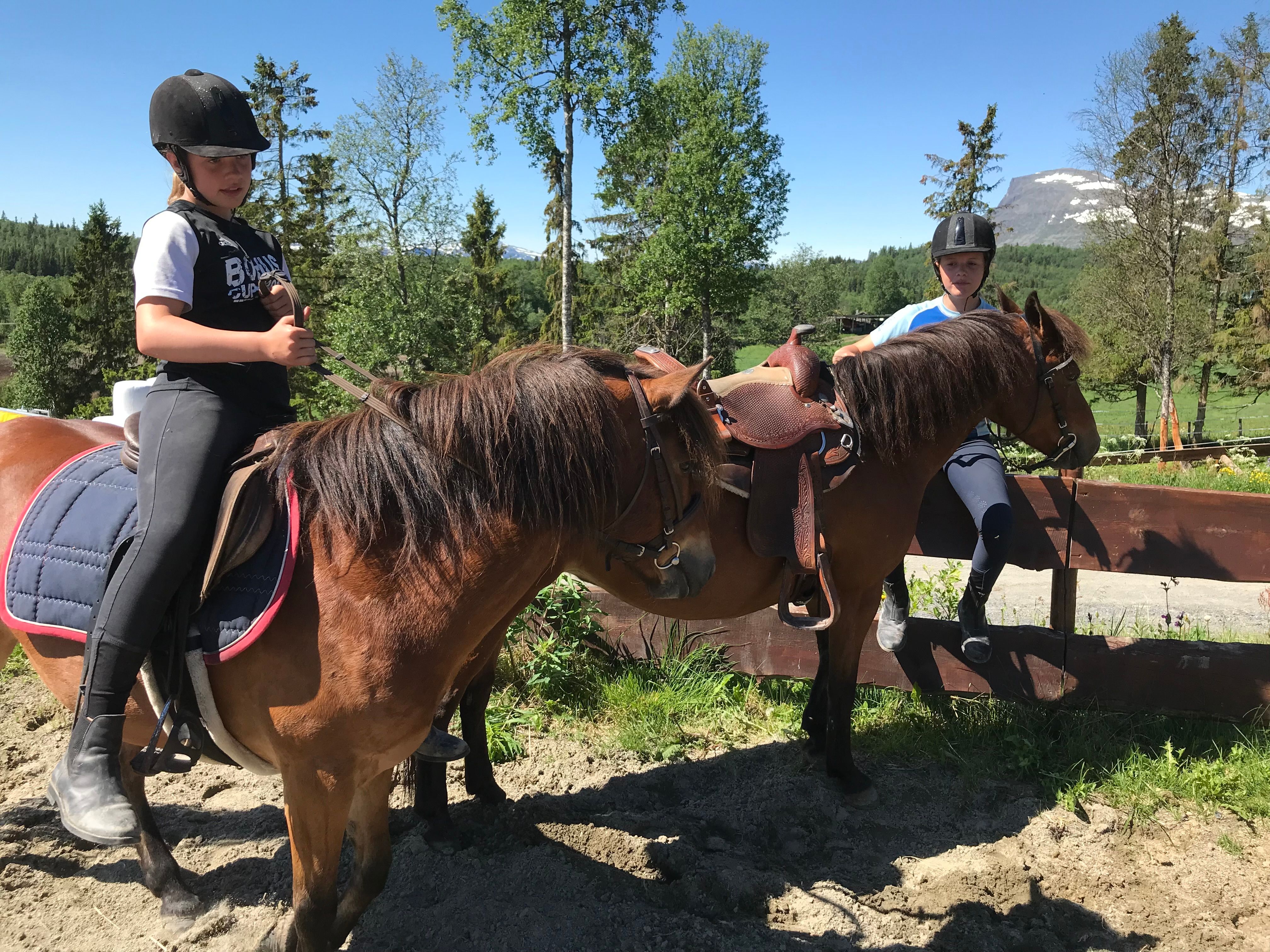 To jenter og to brune hester (sommer)