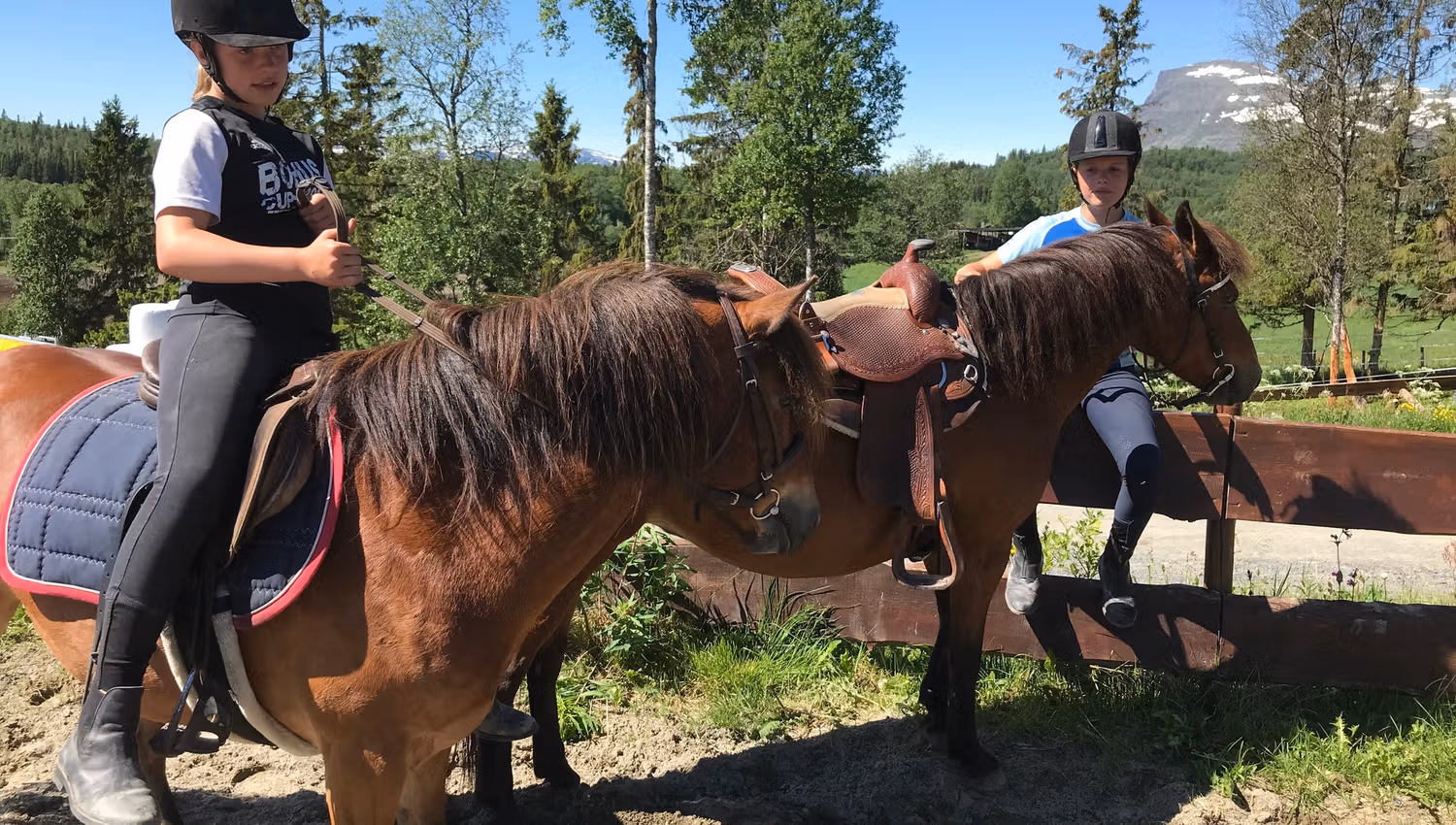 To jenter og to brune hester (sommer)
