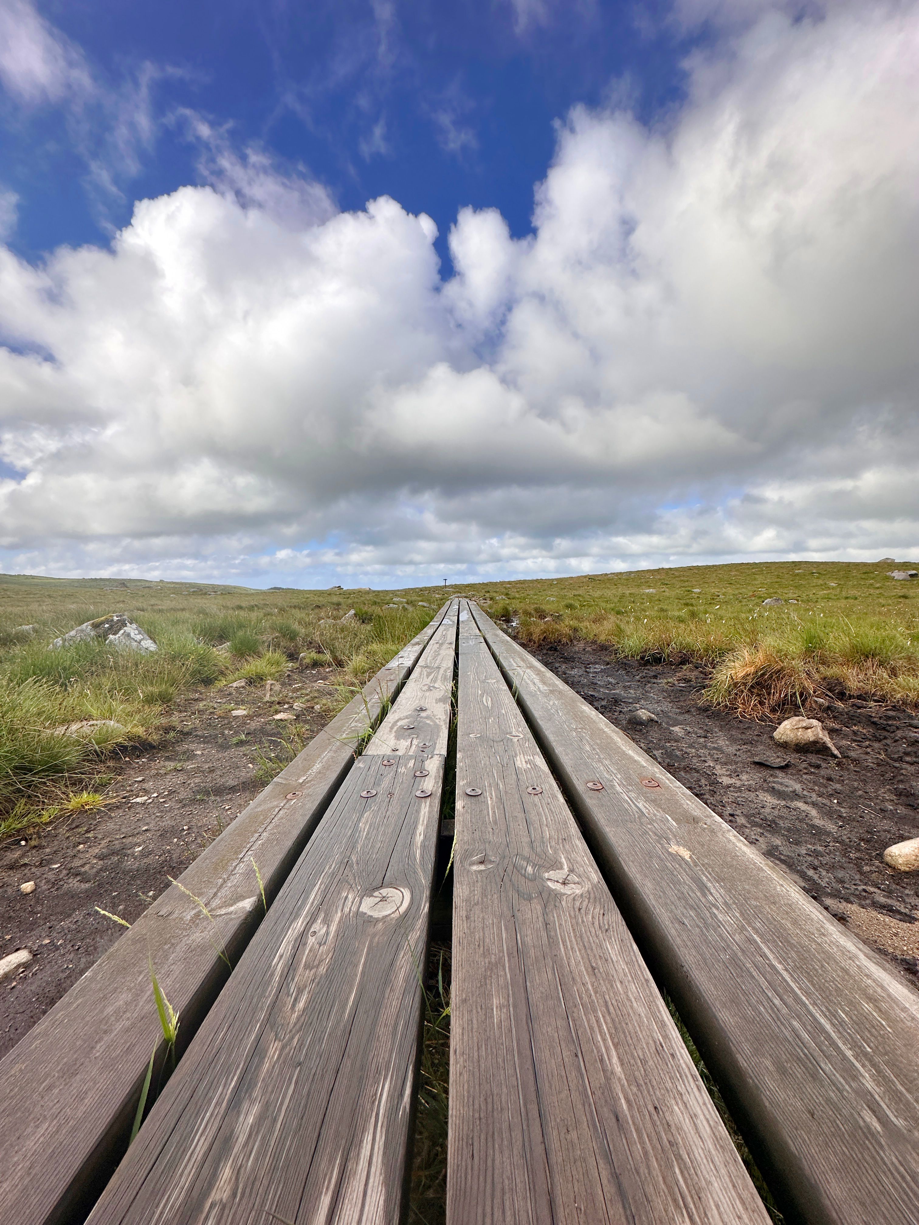 Facilitated trails