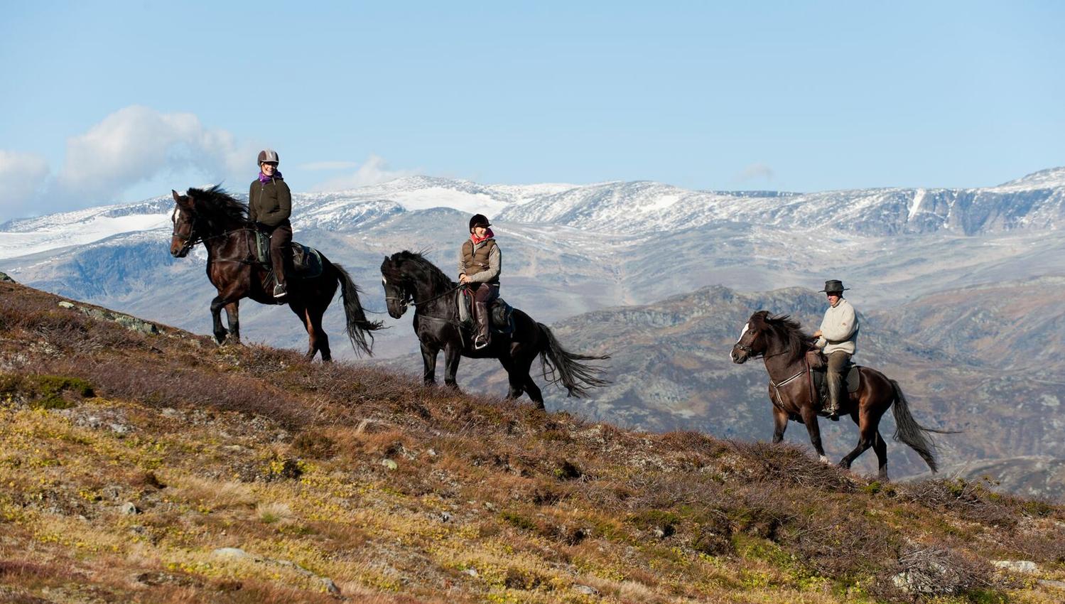 Ridetur i høstfjellet med Fjellrittet