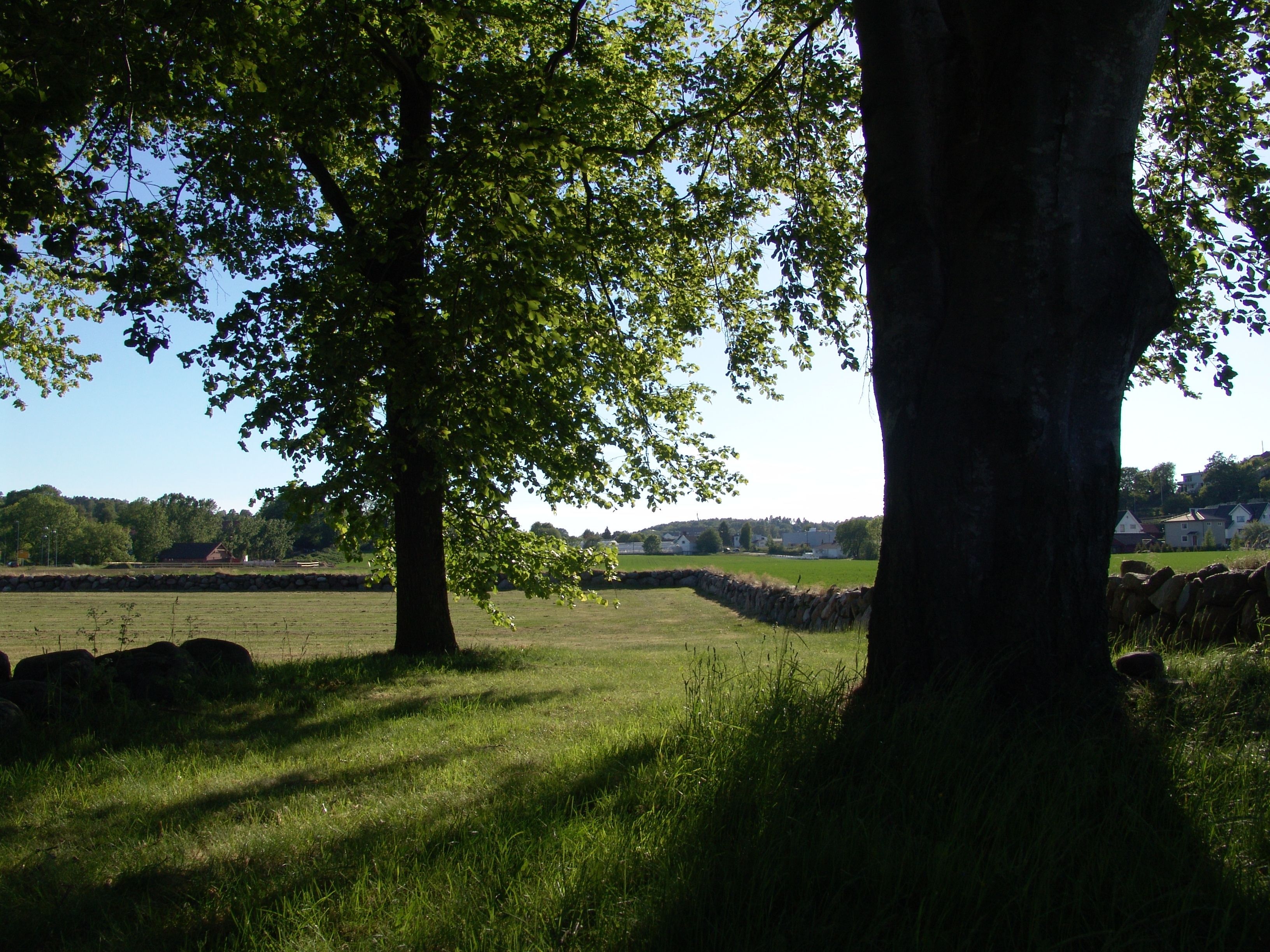 Gokstad mound