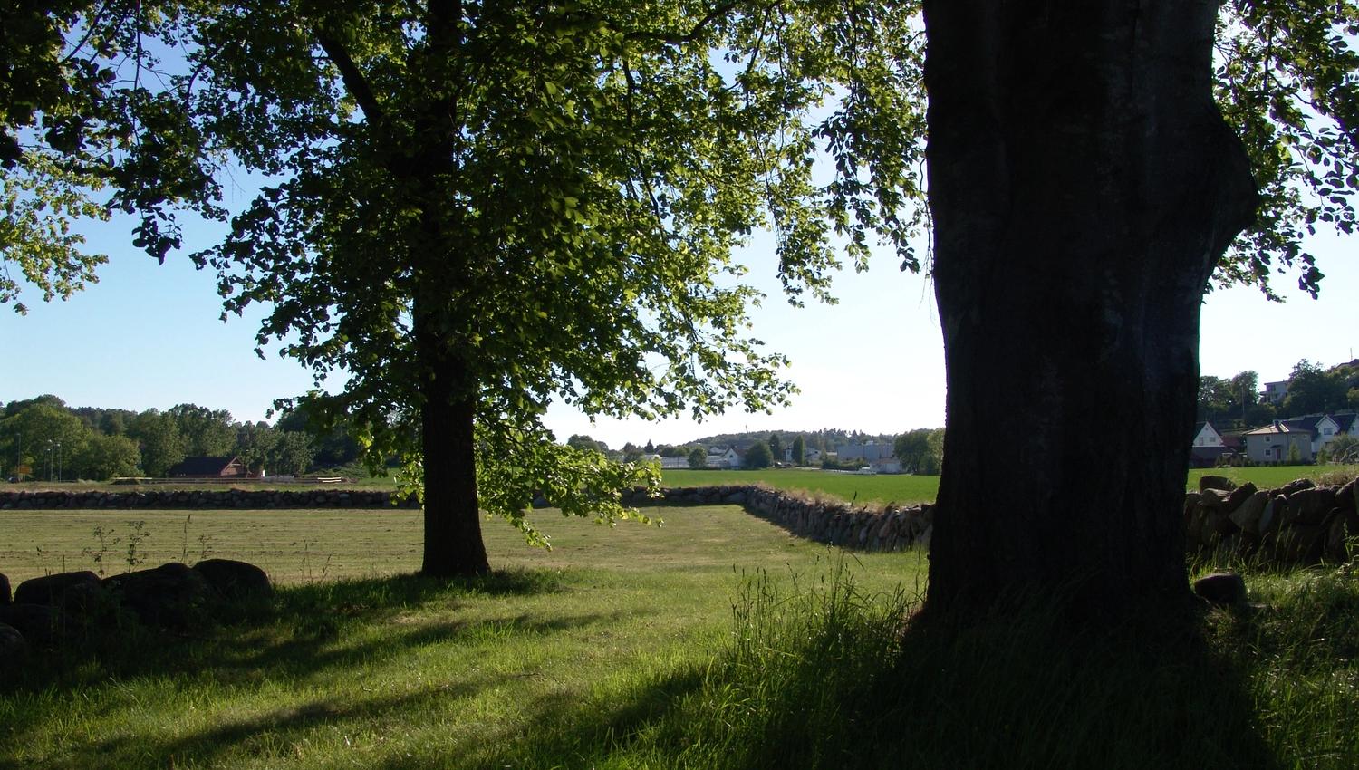 Gokstad mound