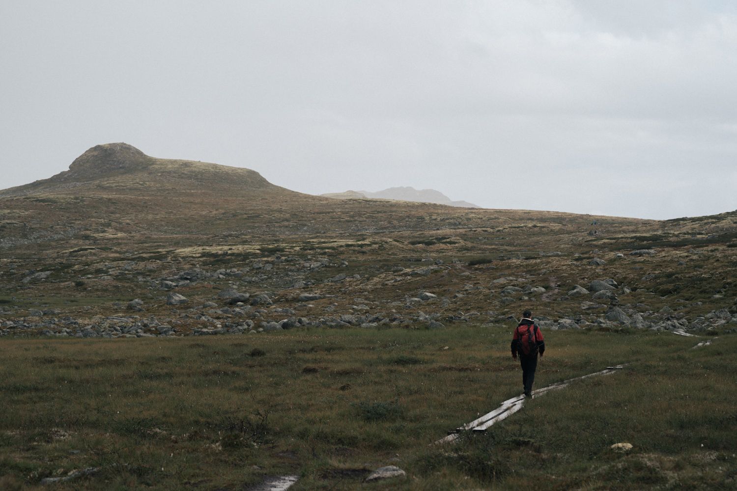 A lone hiker heading towards some hills at the Hardangervidda.
