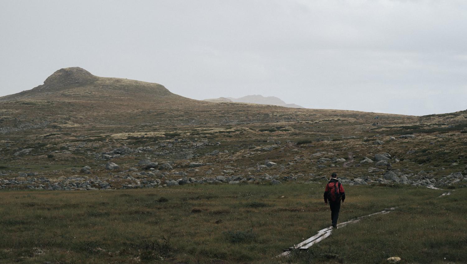 A lone hiker heading towards some hills at the Hardangervidda.