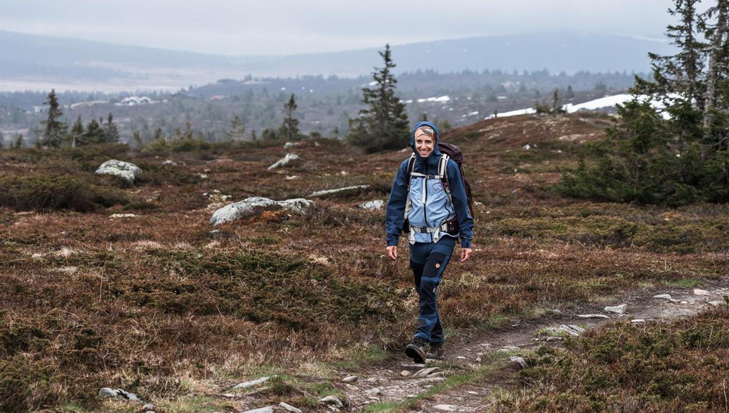 Person on a trail in open landscape with trees and mountains