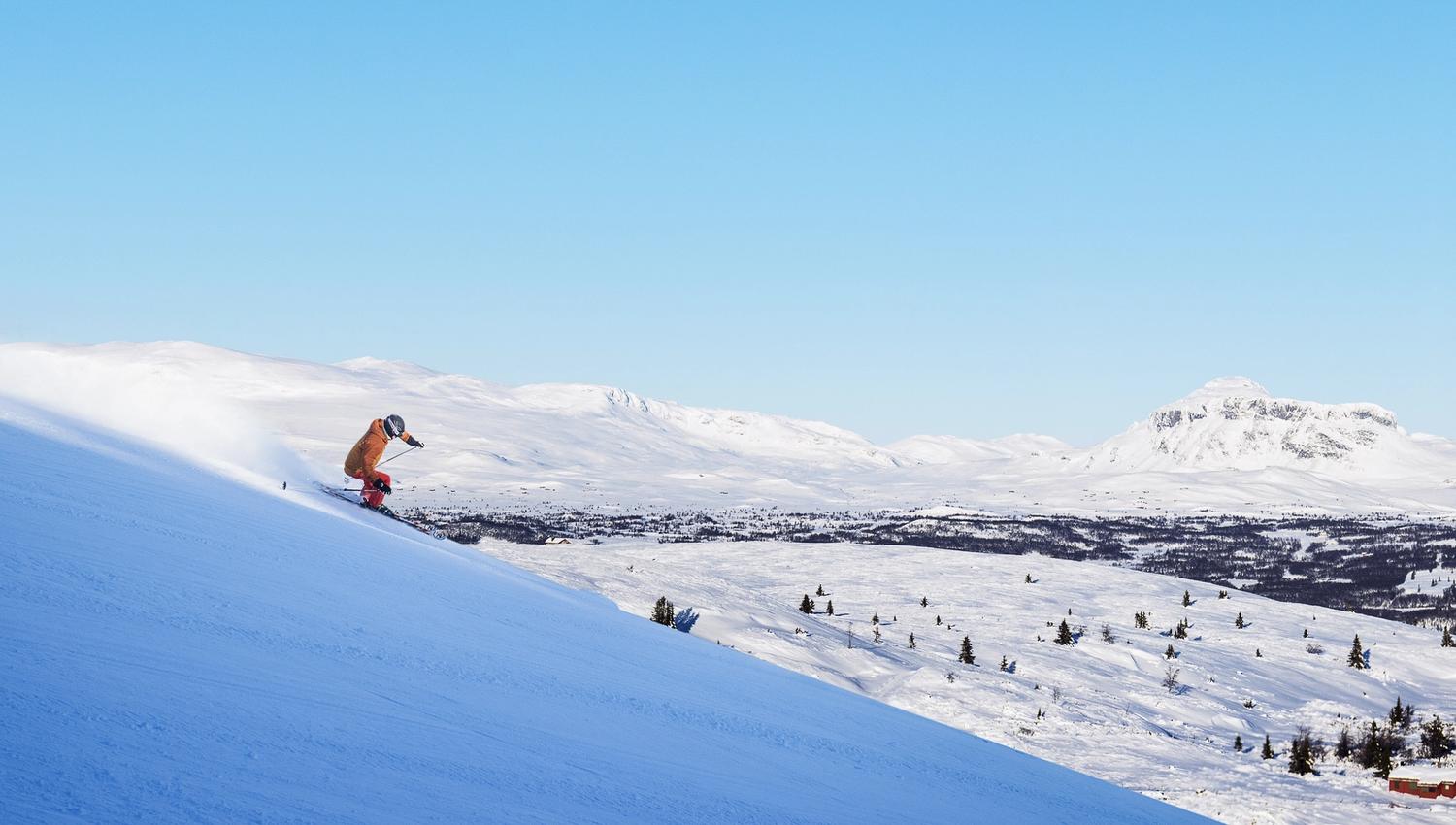 Fjellheisen