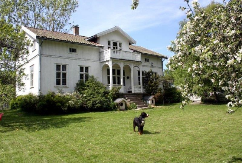 dog in front of the main house