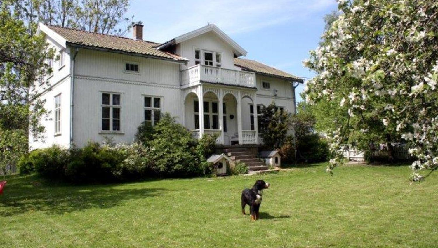 dog in front of the main house