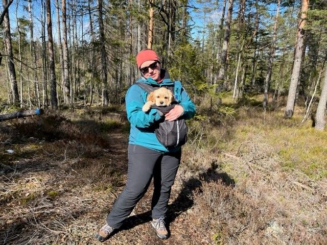 Kulturminnestien om Steinhytta Skiptvet