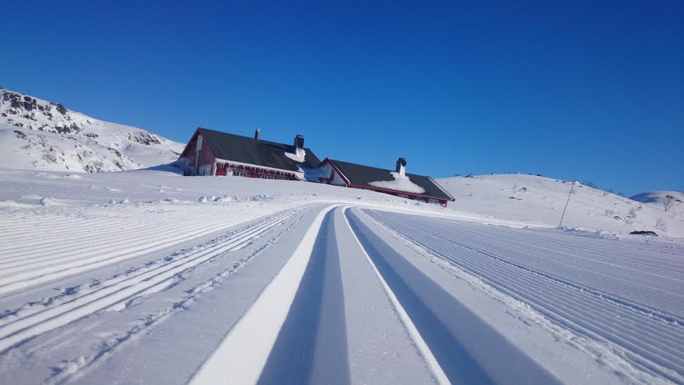 Nypreppa langrenn skispor, Ljosland