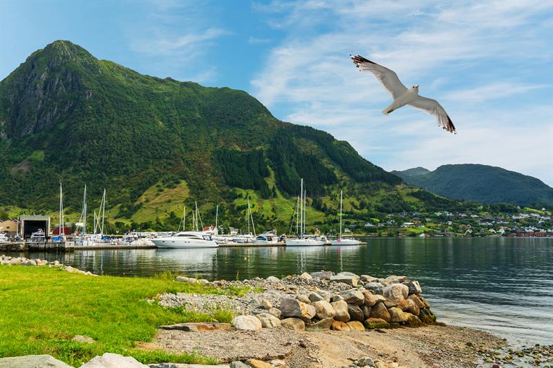 Rosendal