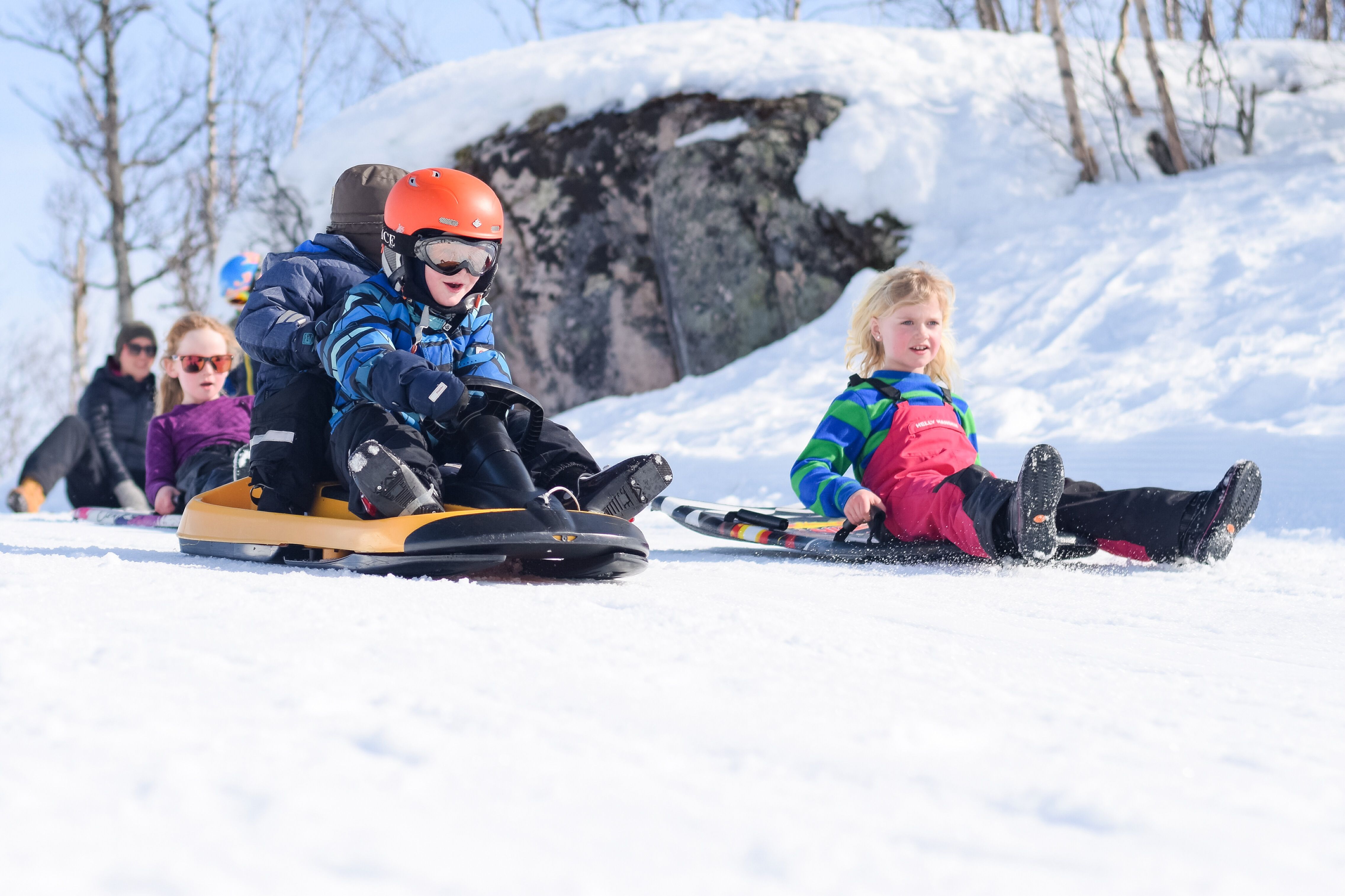 Children sled riding in the alpine skiing centre, photo