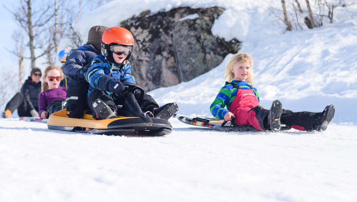 Children sled riding in the alpine skiing centre, photo