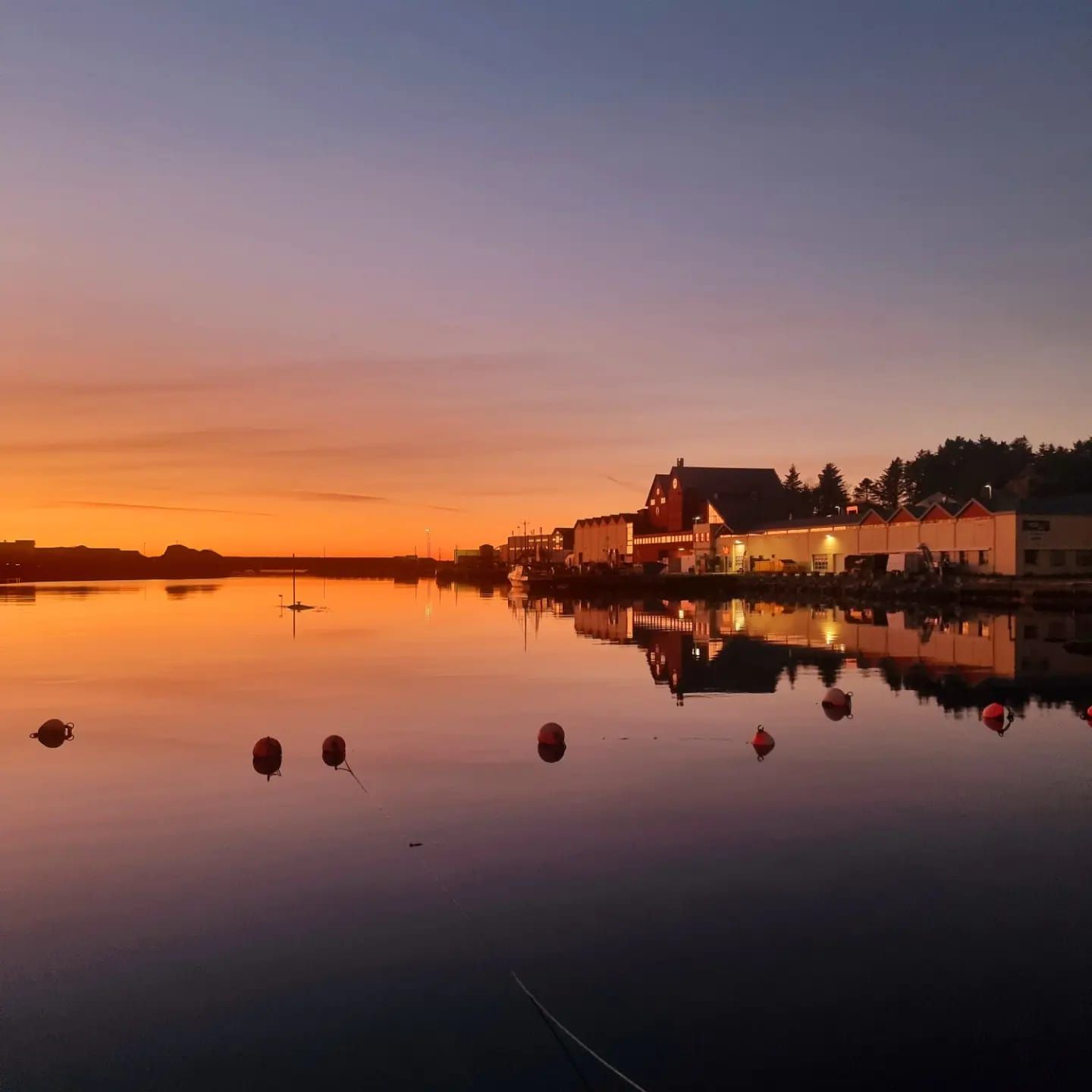 Sirevåg