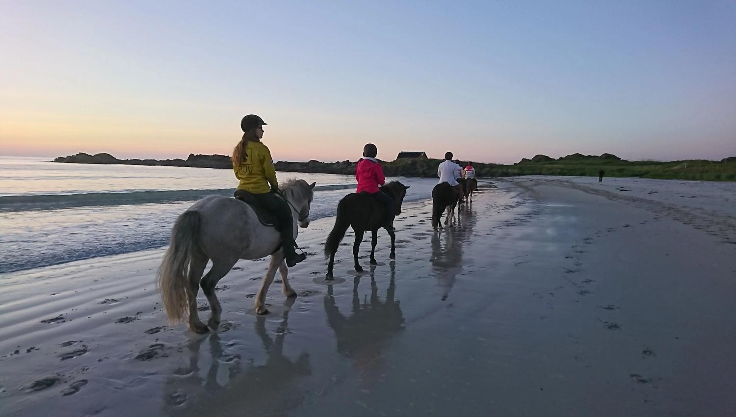 Horseback riding by Hov Camping - Hov Hestegård