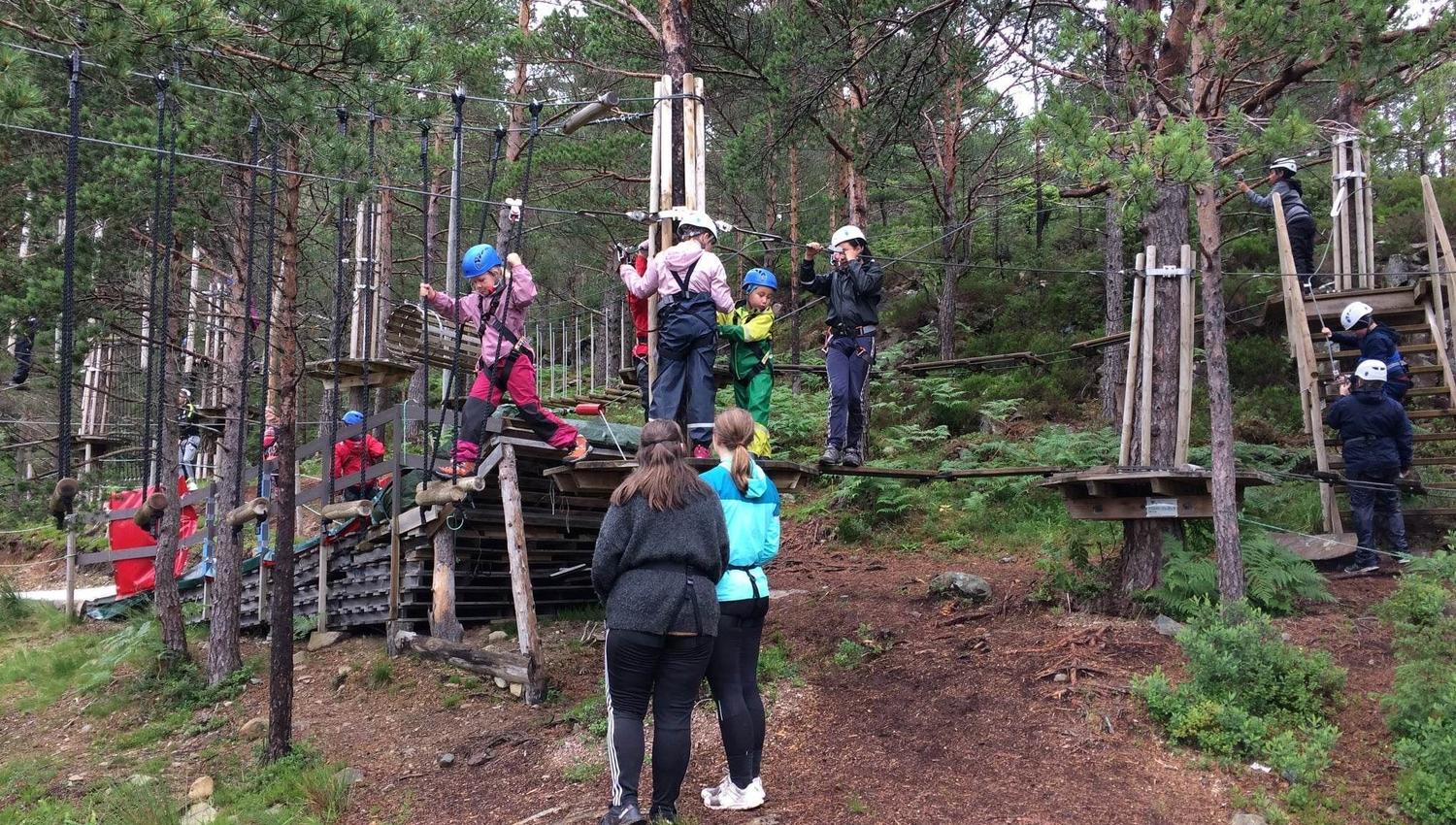 Fleire barn og vaksne med hjelmar klatrar i ein taupark mellom treplattformer i ein furuskog..