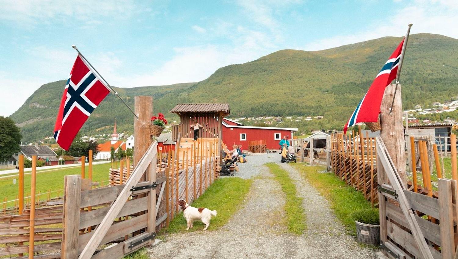 Gravel lane between wooden fences with Norwegian flags, a small dog, people near a red barn, and green hills beyond..