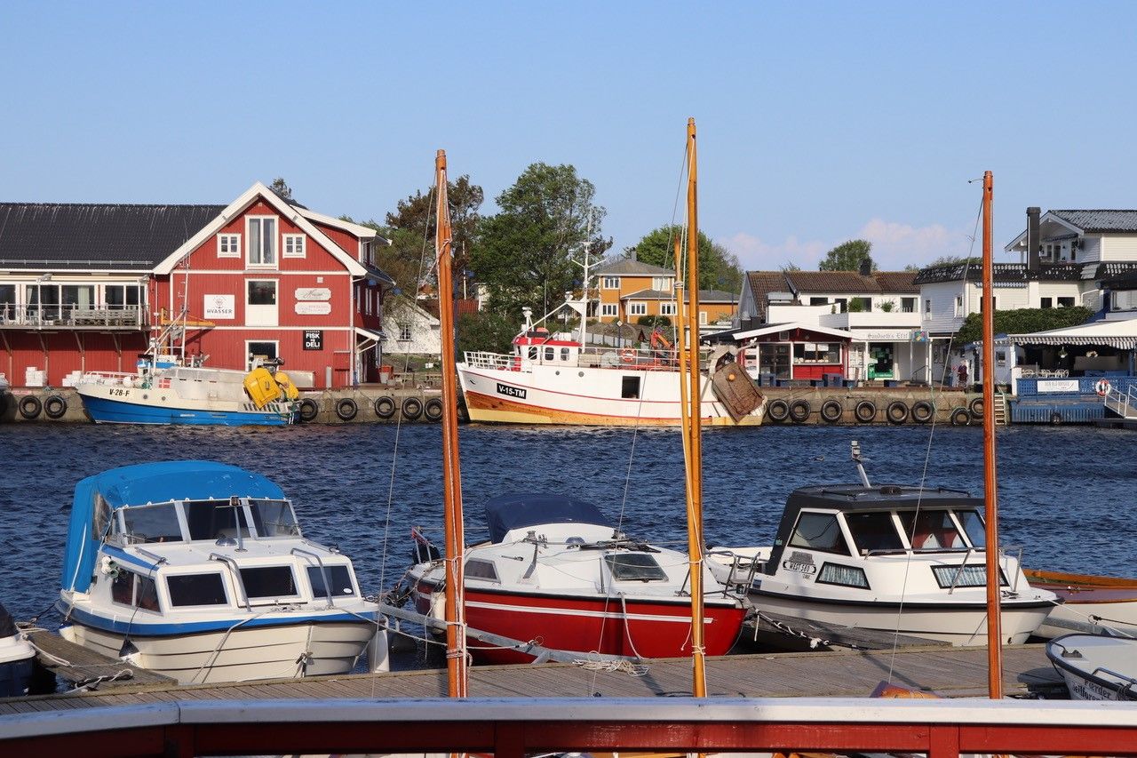 Boats moored