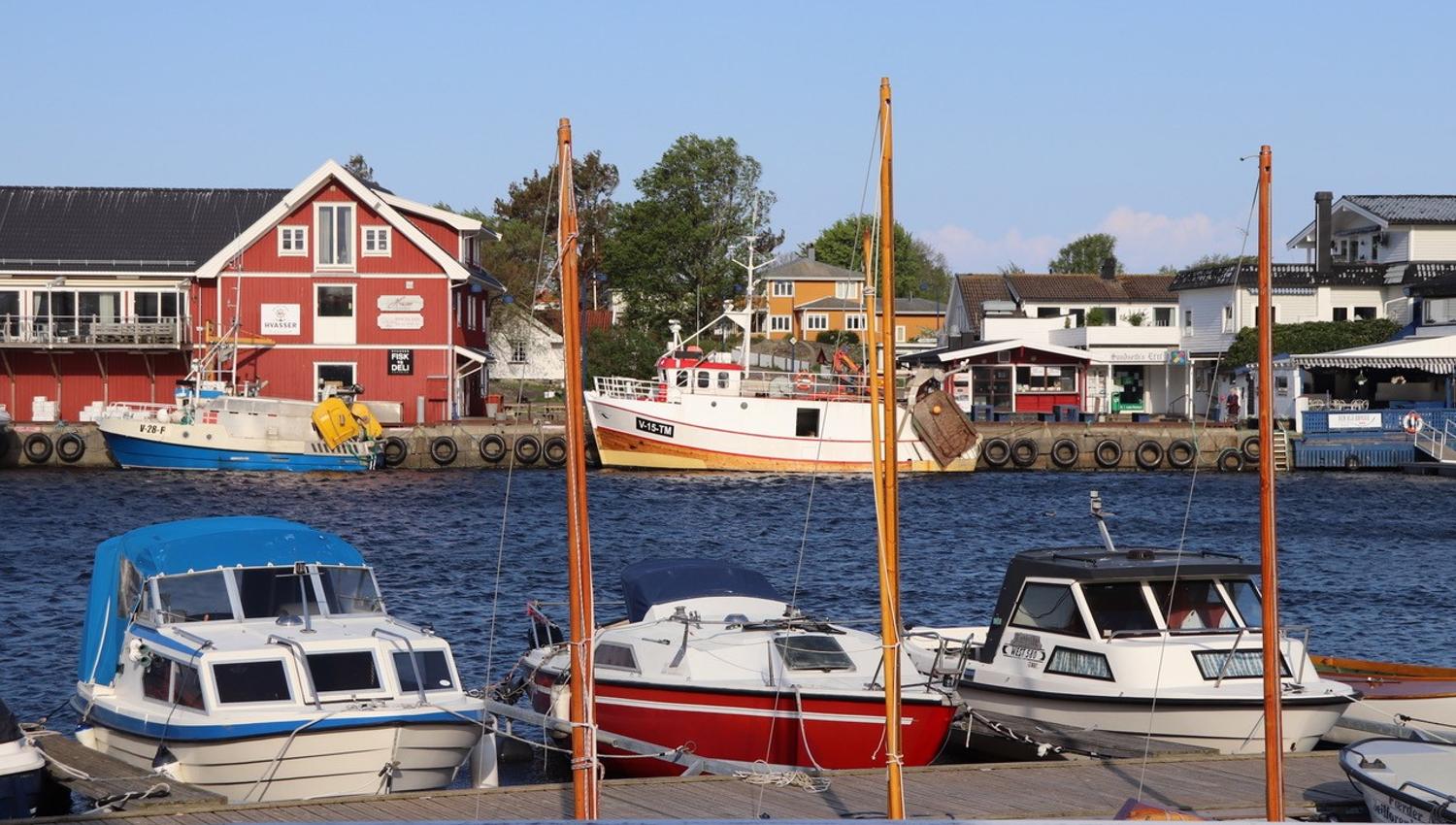 Boats moored