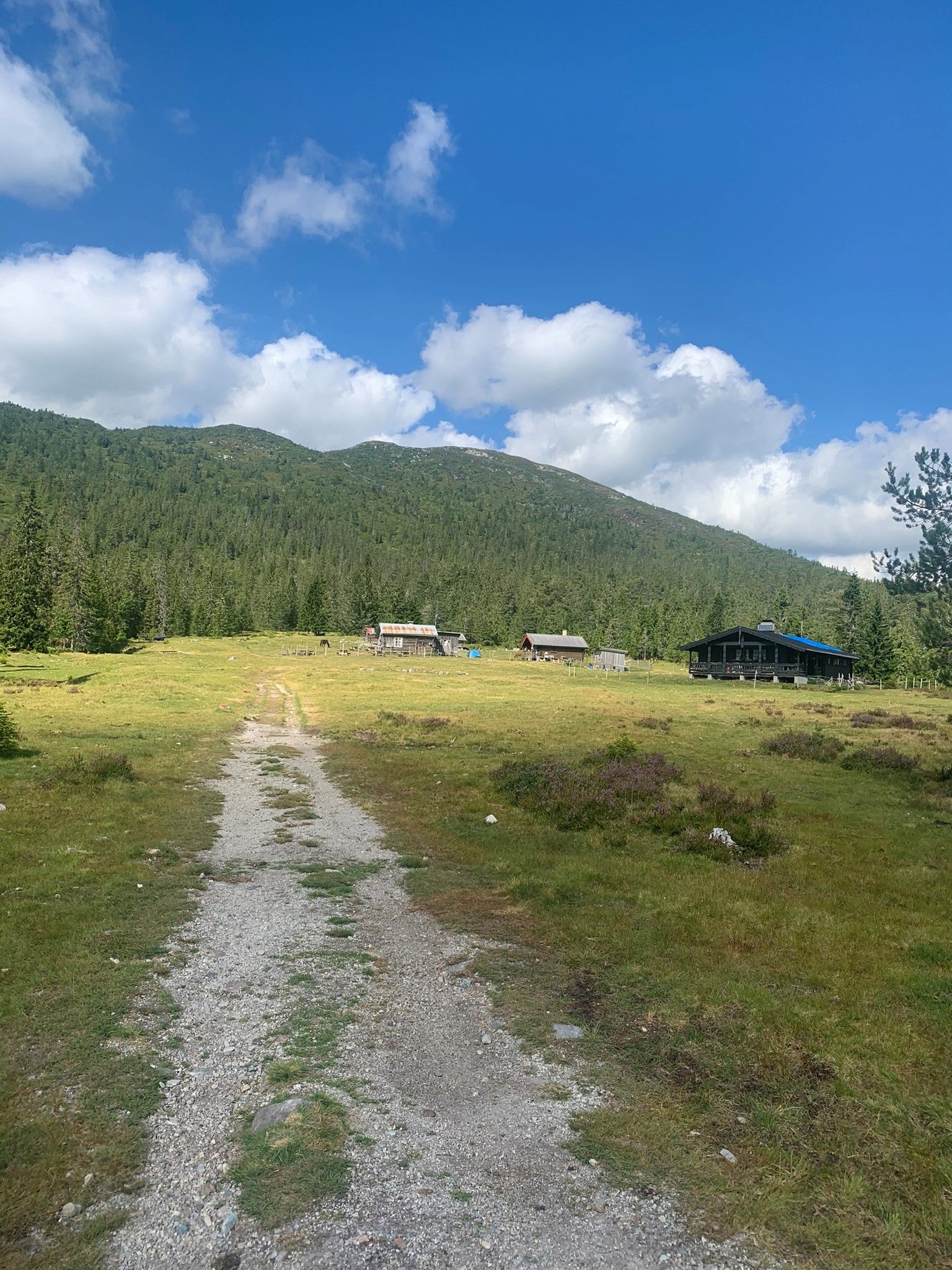 Gavlesjå 4