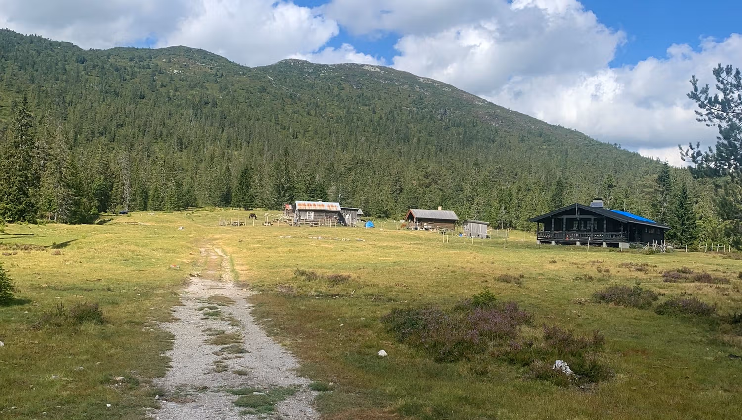 Gavlesjå 4