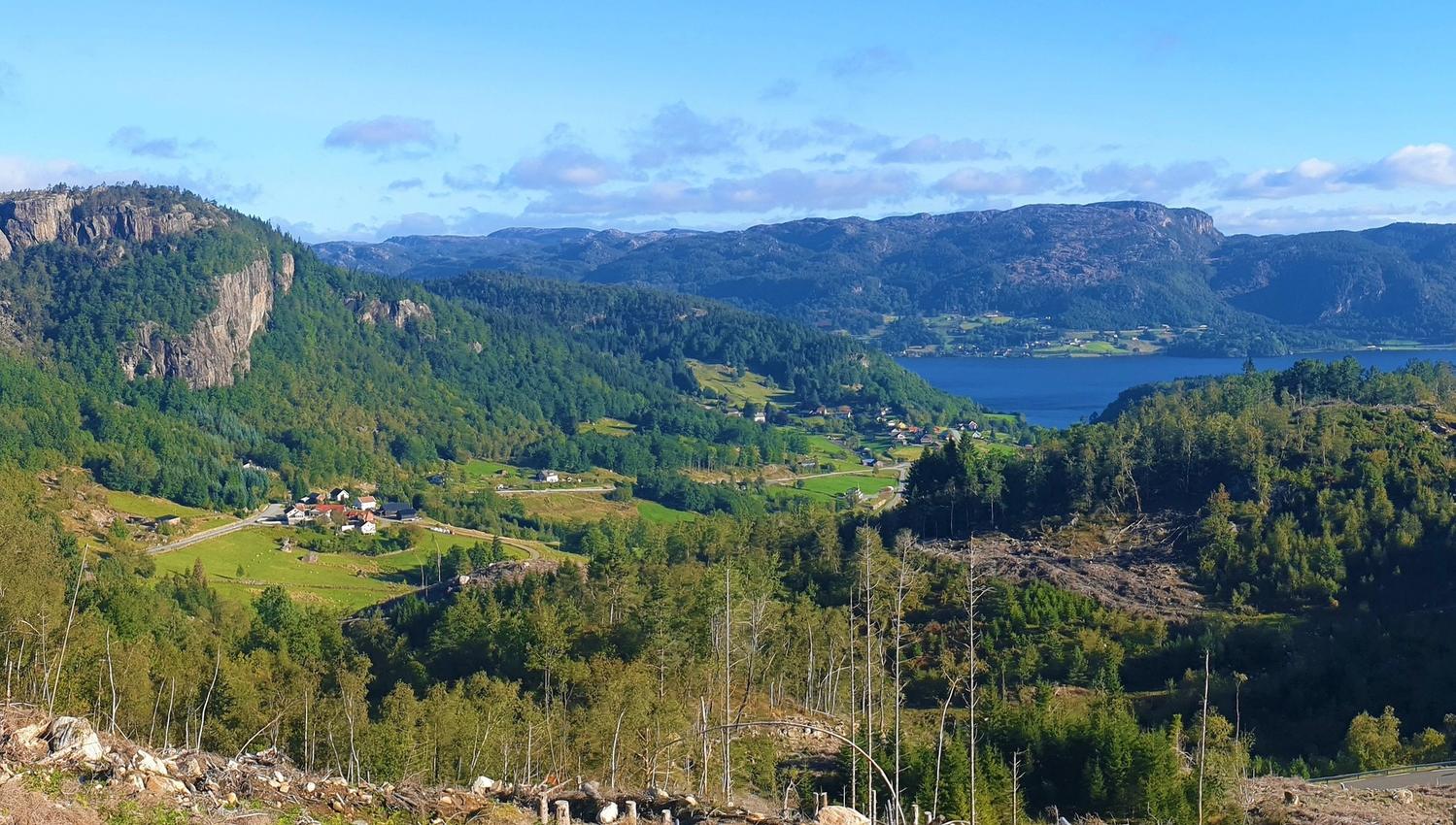 Gullbergknuden