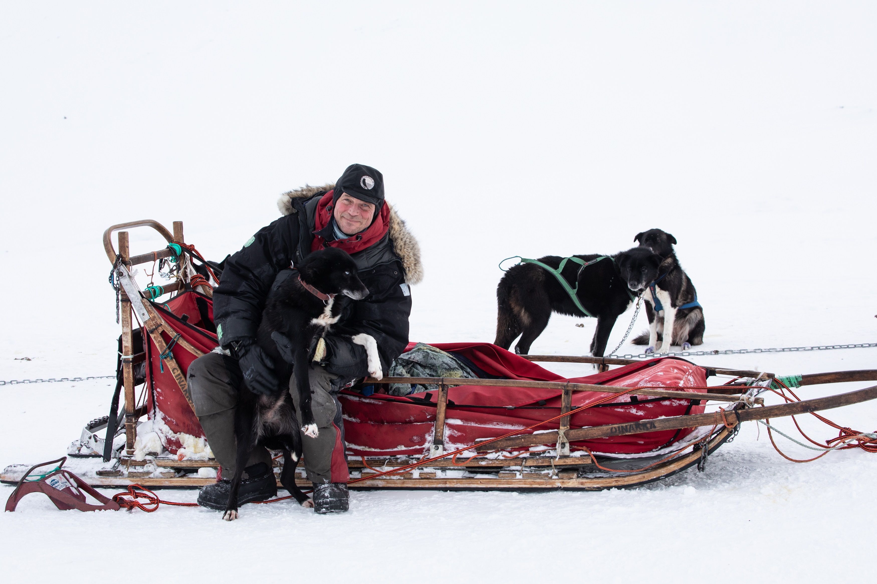 A guide (Tommy Jordbrudal) sitting on a dog sled together with a dog