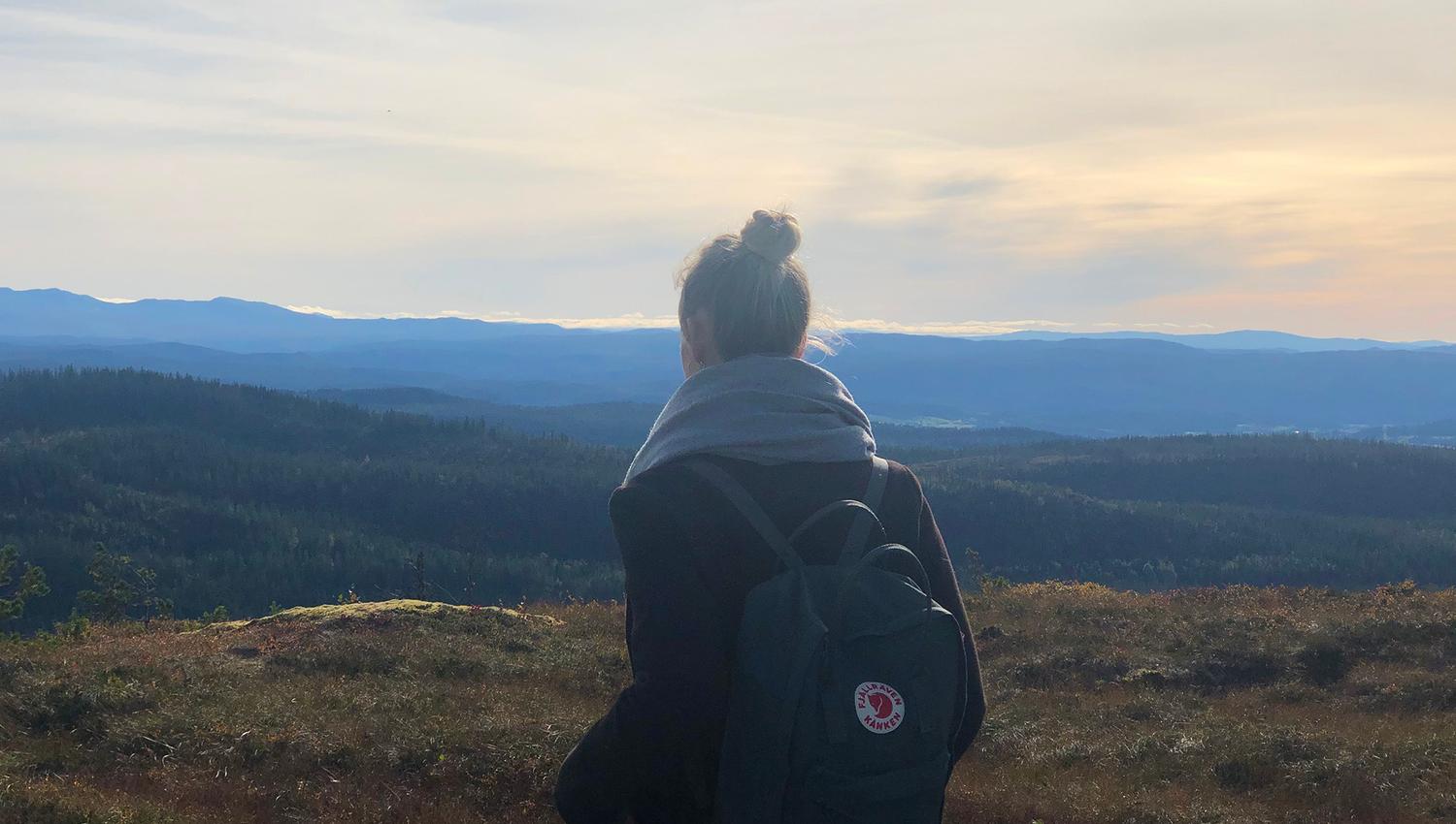 Stokkvola